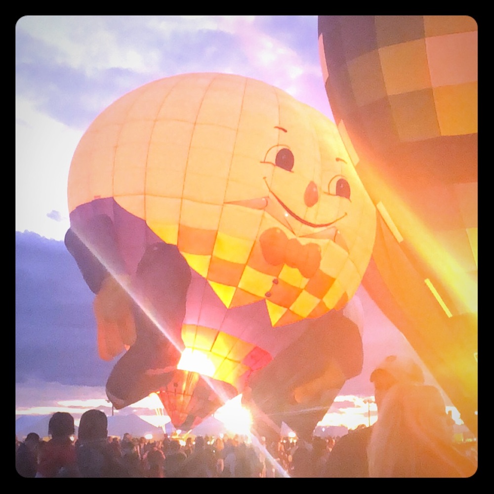 Meet your Posher, Anna